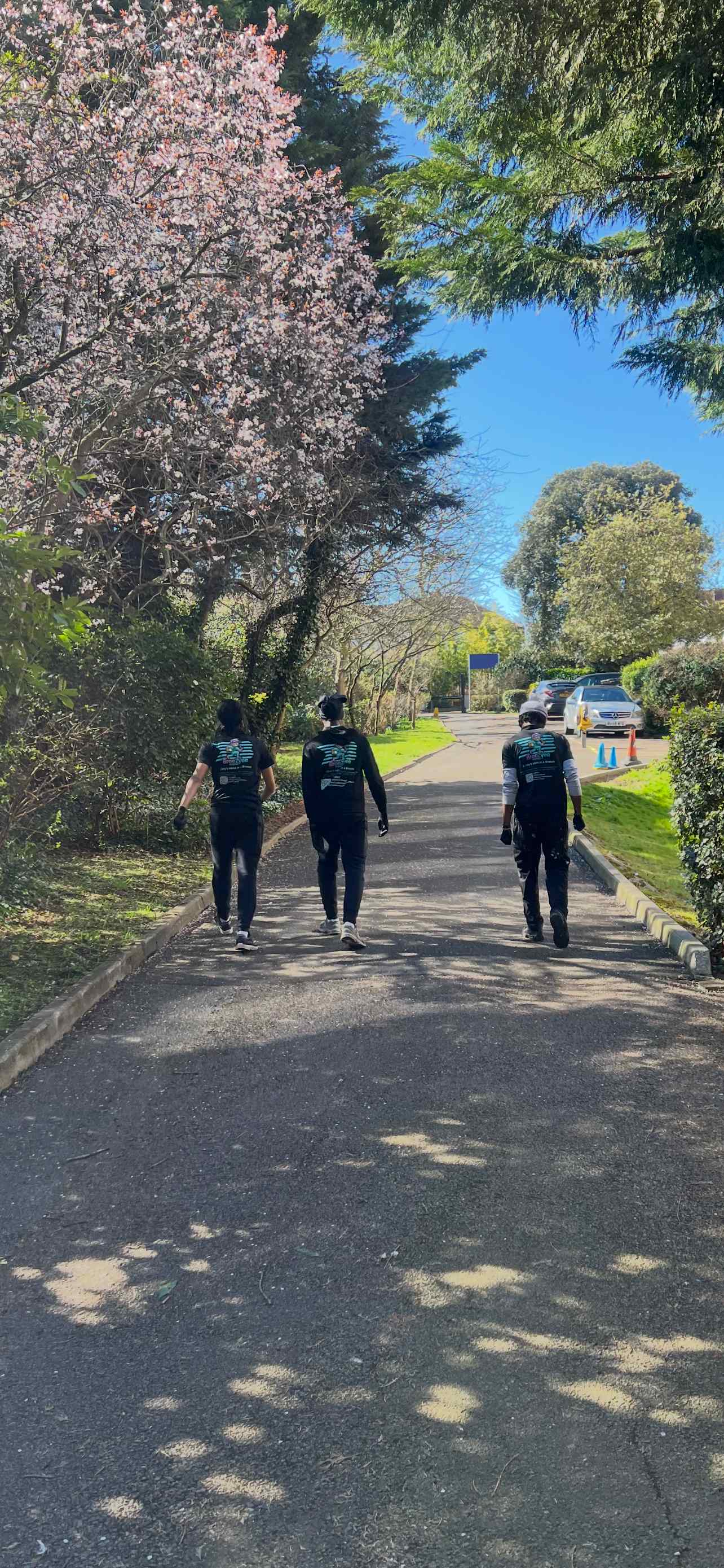 Breezyeer team members walking down a beautiful tree-lined street in spring